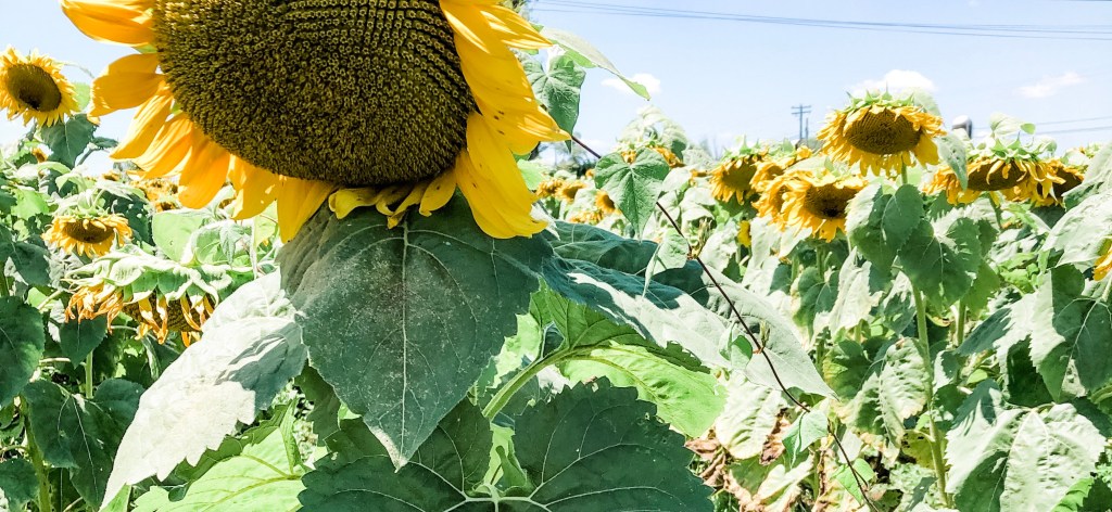 How are you&nbsp;feeling?