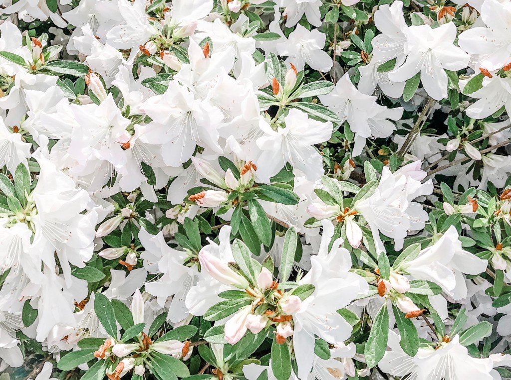 When Was the Last Time You Truly&nbsp;Rested?